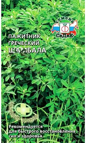 Пажитник Шамбала греческий
