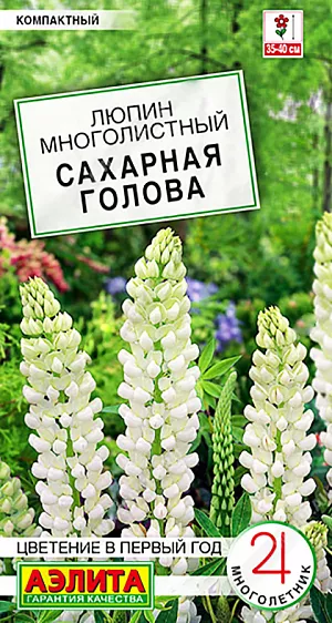 <div>
 Семена Люпин Сахарная голова.
</div>
 Изящный низкорослый сорт с белоснежными цветками. Соцветия крупные и плотные. Люпин – отличный многолетник для создания эффектных вертикалей в клумбах, миксбордерах и палисадниках. Пышно и длительно цветет, не требуя особенного ухода. Высота растений не превышает 35 см. при выращивании в ограниченном объеме грунта, в цветниках – до 40 см. Для посадок подходят солнечные участки, без избытка влаги. В горшках и вазонах объемом 4-6 л. размещают не более 1-3 растений. После цветения рекомендуется обрезать старые соцветия, это стимулирует образование новых побегов.<br>
 <br>
  Посев на постоянное место в самые ранние сроки или под зиму (октябрь – начало ноября). Рекомендуются поливы только под корень. Регулярные подкормки без избытка азота обеспечивают более пышное цветение. Для успешной перезимовки желательно мульчирование корневой шейки растений.<br>