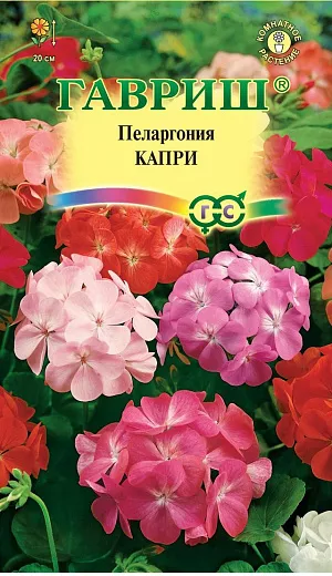 Семена Пеларгония Капри.
Популярное многолетние комнатное растение из семейства Гераниевых. Формирует объемный и компактный кустик высотой 30 см. Листья зеленые, с характерным темным рисунком. Восхитительные цветки, разнообразной окраски, образуют крупные, шаровидные соцветия, диаметром 9-12 см. При тщательном уходе может цвести весь год. Пеларгония светолюбива, неприхотлива в культуре, легко переносит недостаток влаги. Размещают растение на солнечных восточных и западных окнах. В теплое время года любит обильный, частый полив.
 Зимой, в зависимости от температуры, поливают умереннее. Подкармливают растение минеральными удобрениями, обогащенными калием. Для получения цветущих растений к началу лета посевы производят с декабря по февраль, используя в качестве субстрата чистый торф или смесь торфа с песком. Для комнатного использования высевают в марте-апреле. Всходы обычно появляются через 2-3 недели после посева. В фазе двух-трех настоящих листочков растения пикируют в горшки. Для лучшего кущения рассаду прищипывают над пятым - шестым листом. Летом пеларгонию желательно выносить на свежий воздух, а зимой устанавливать в прохладной светлой комнате с температурой 10-12 °C. Геранями озеленяют балконы, веранды, лоджии. Их используют в цветочных композициях в полутенистых участках сада.