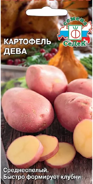 Семена Картофель Дева