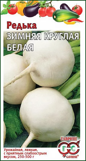Семена Редька Зимняя круглая белая Семена Редька Зимняя круглая белая